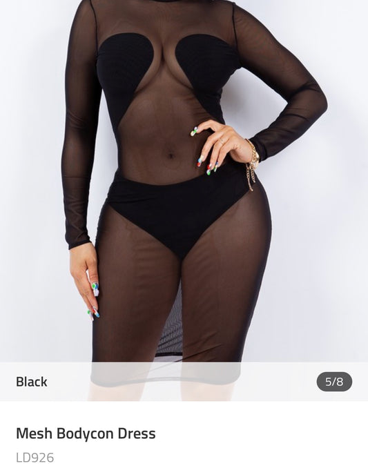 Mesh BodyCon Dress