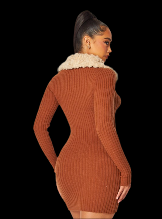 Cream & Cocoa Dress